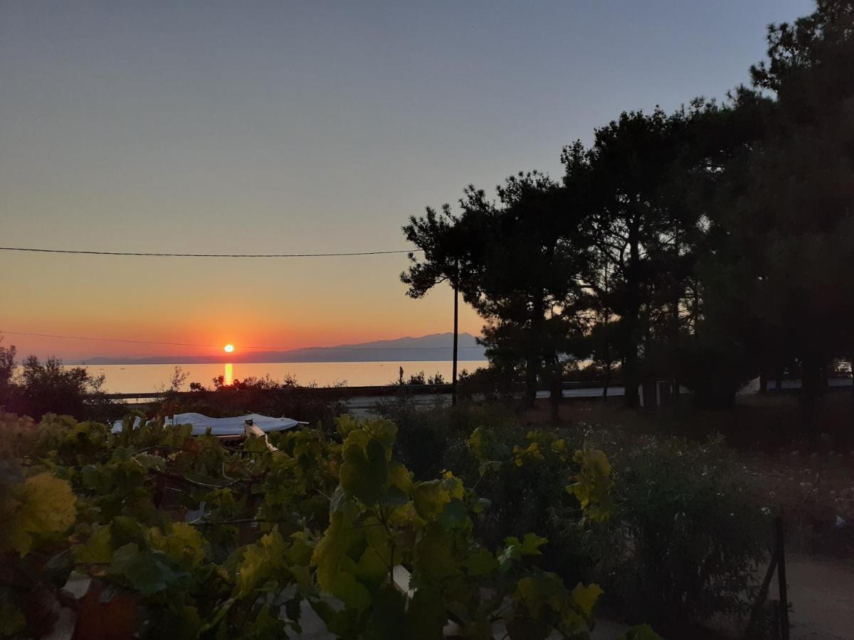 Το Σπίτι Με Το Πηγάδι - Wellcottage Thassos Skála Kallirákhis Exteriér fotografie