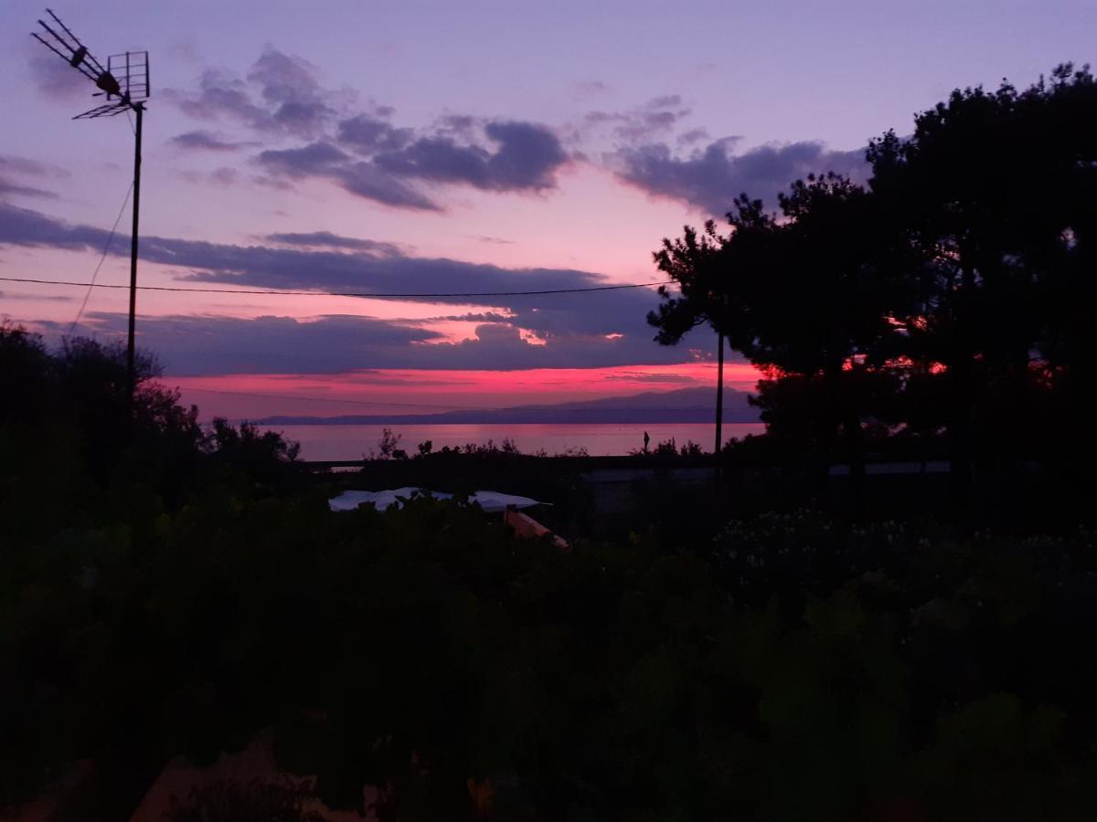 Το Σπίτι Με Το Πηγάδι - Wellcottage Thassos Skála Kallirákhis Exteriér fotografie