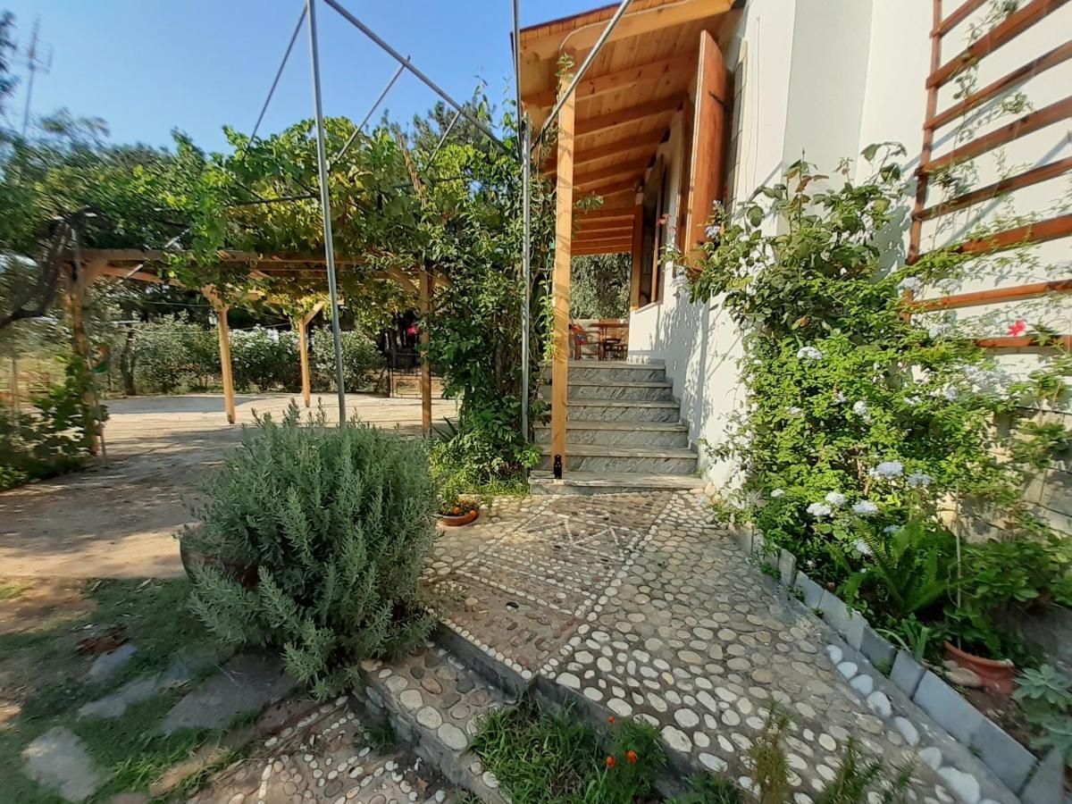 Το Σπίτι Με Το Πηγάδι - Wellcottage Thassos Skála Kallirákhis Exteriér fotografie
