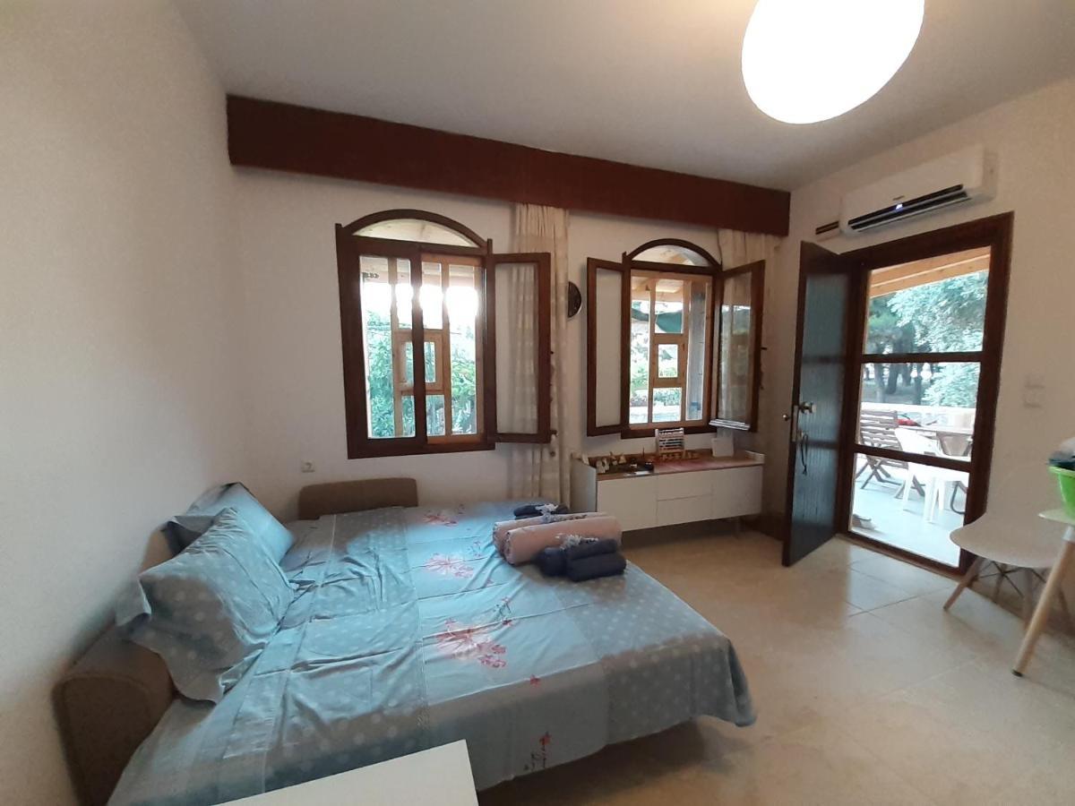Το Σπίτι Με Το Πηγάδι - Wellcottage Thassos Skála Kallirákhis Exteriér fotografie